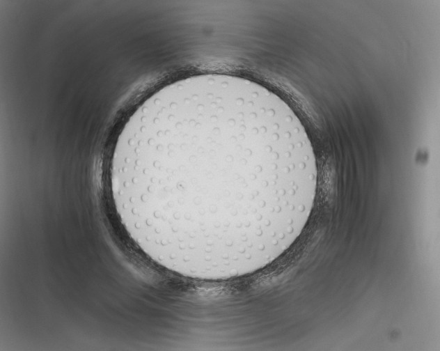 X0000116330686201001131025