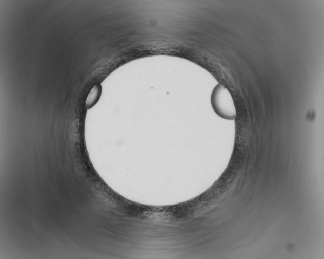 X0000116330689201001131025