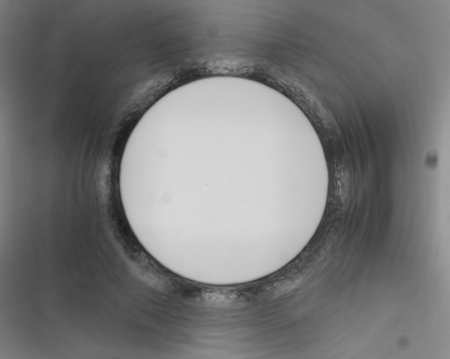 X0000116330690201001131025