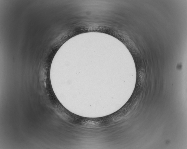 X0000116330691201001131025