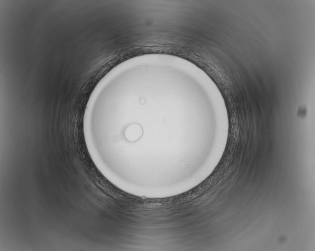 X0000116330692201001131025