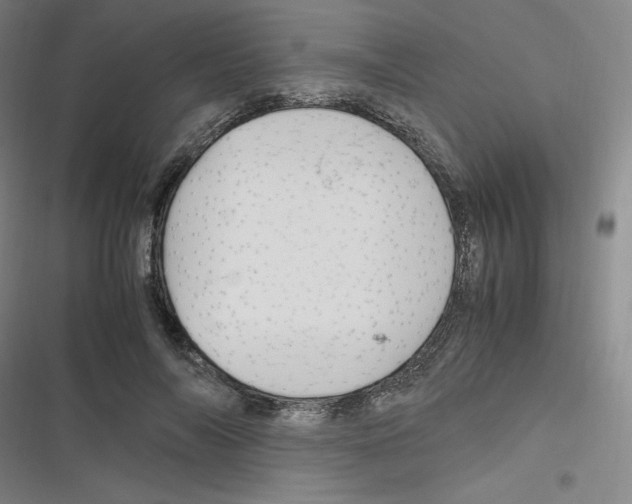 X0000116330694201001131025
