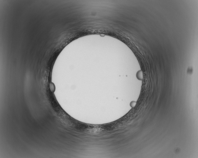 X0000116330695201001131024