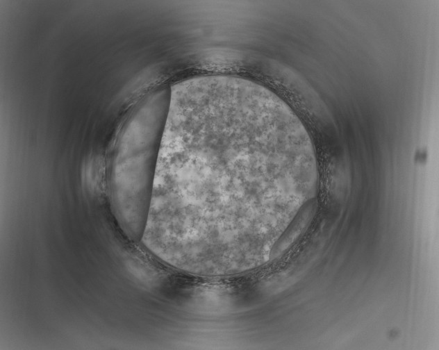 X0000116330696201001131024