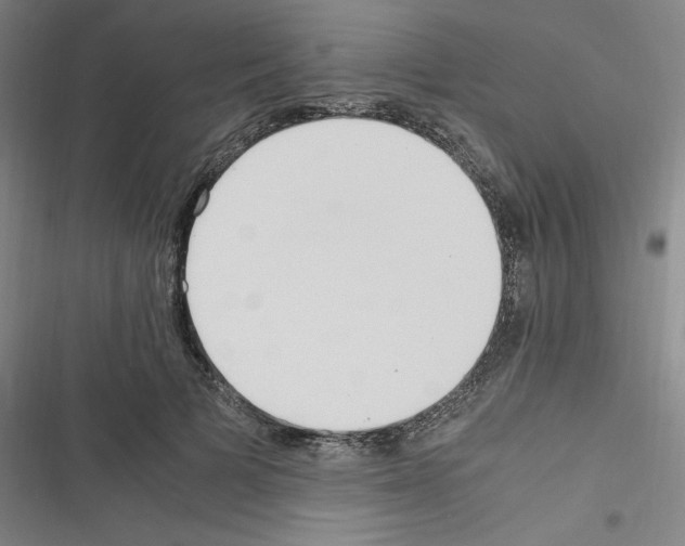 X0000116330697201001131024