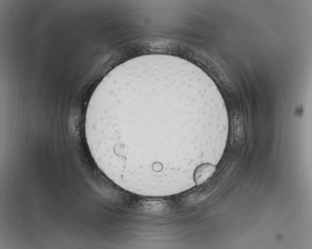X0000116330698201001131024