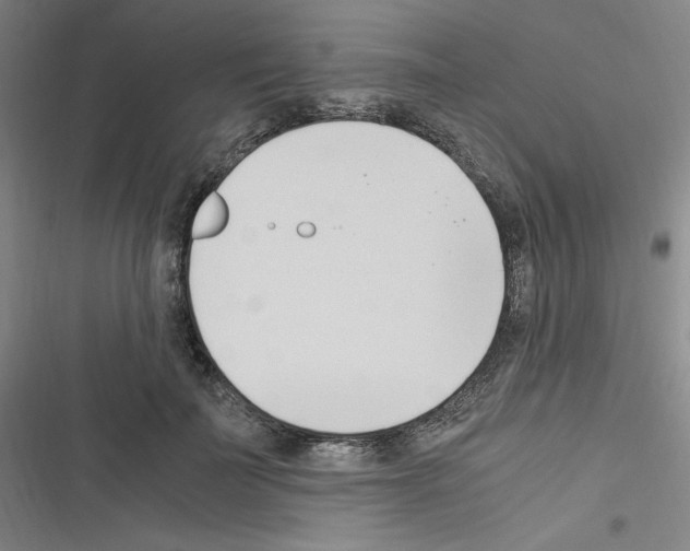 X0000116330699201001131024
