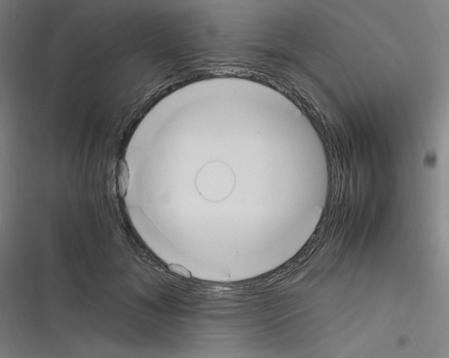 X0000116330700201001131024