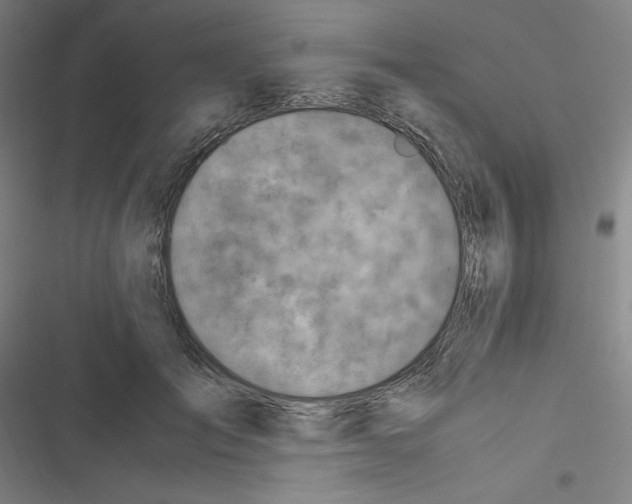 X0000116330701201001131024