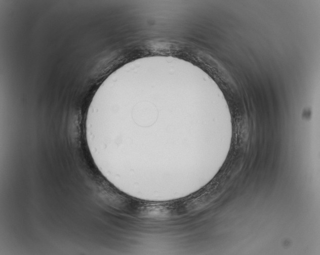 X0000116330702201001131024