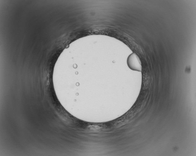 X0000116330703201001131024