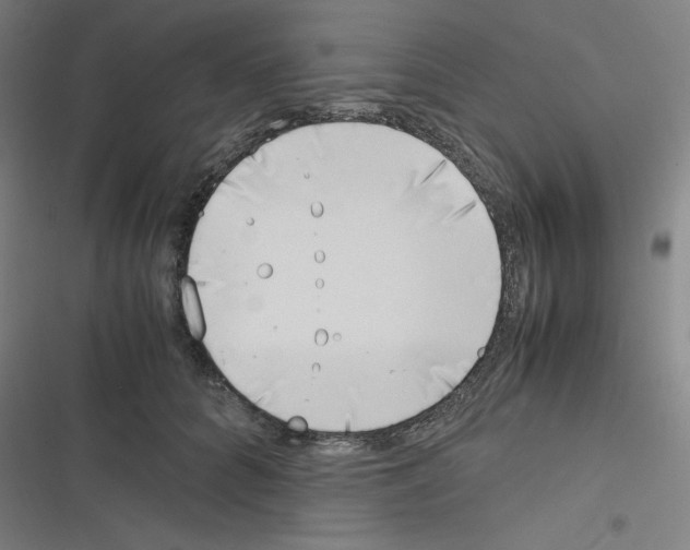 X0000116330704201001131024
