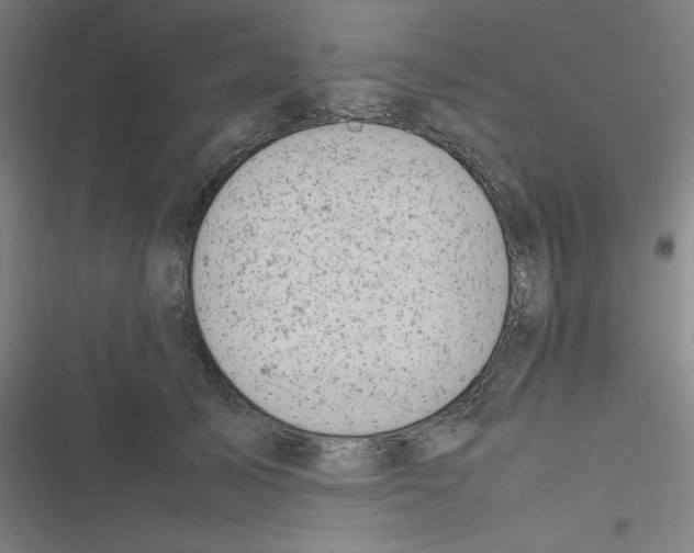 X0000116330705201001131024