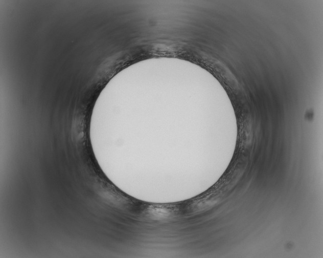 X0000116330706201001131024