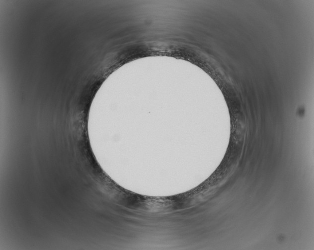 X0000116330707201001131024