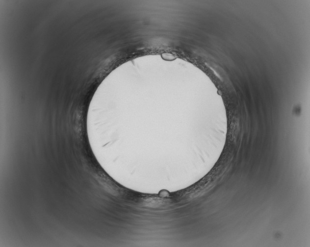 X0000116330708201001131024