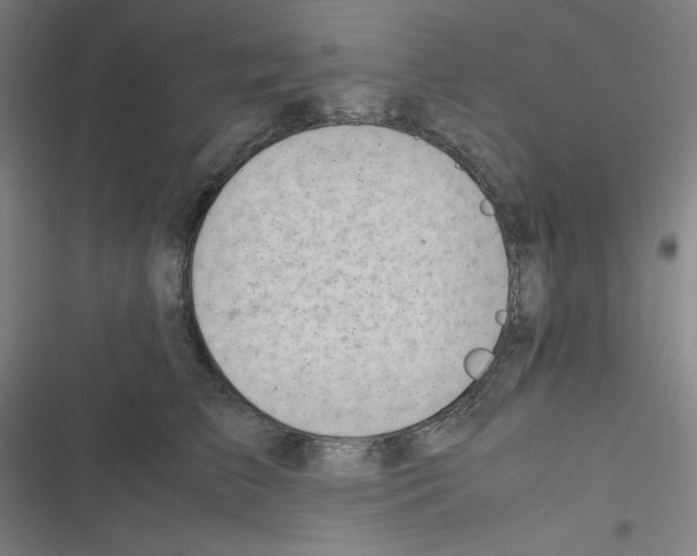 X0000116330709201001131024