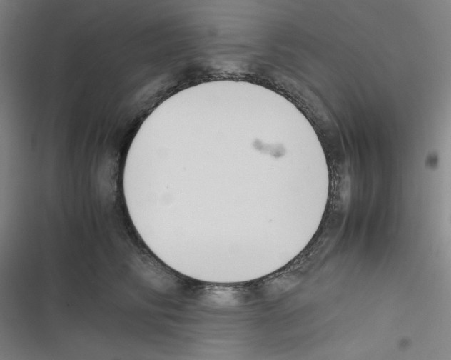 X0000116330710201001131024