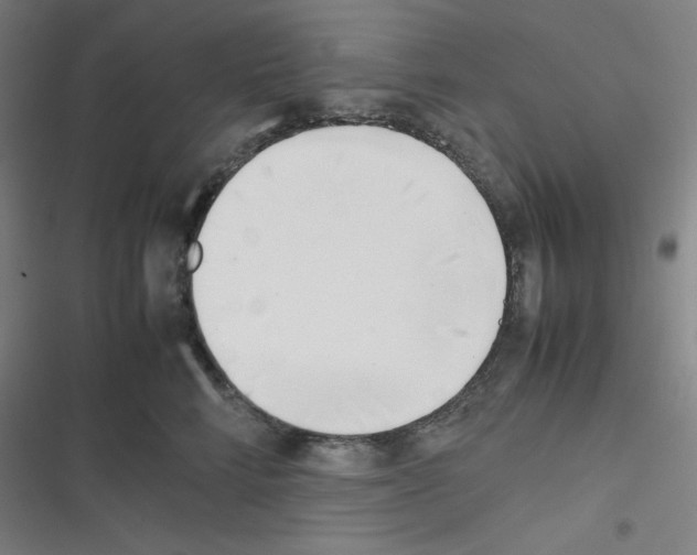 X0000116330712201001131024