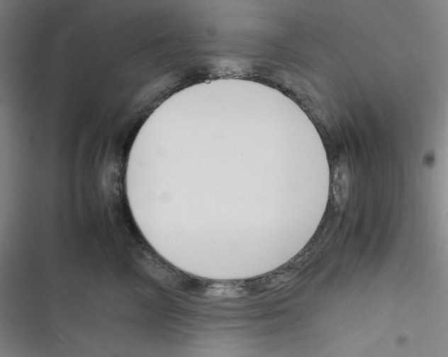 X0000116330714201001131024