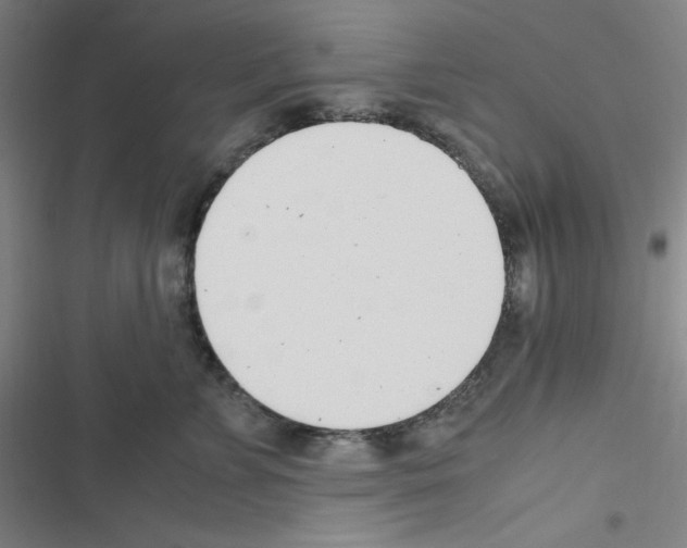 X0000116330715201001131024