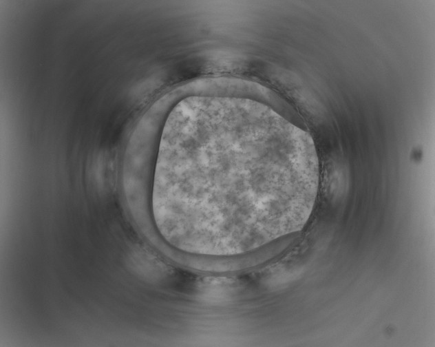 X0000116330716201001131024