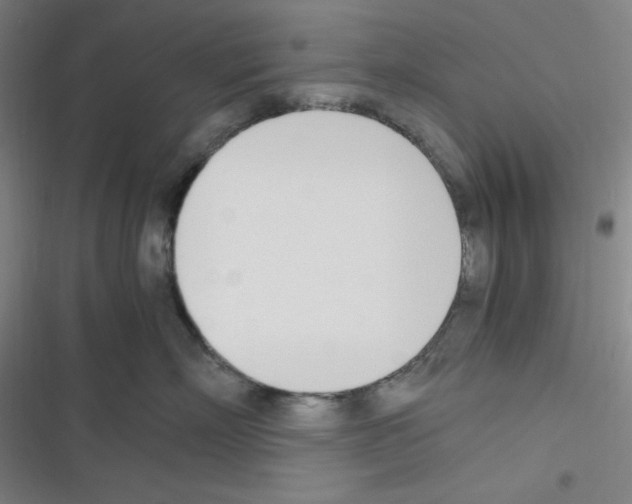 X0000116330718201001131024