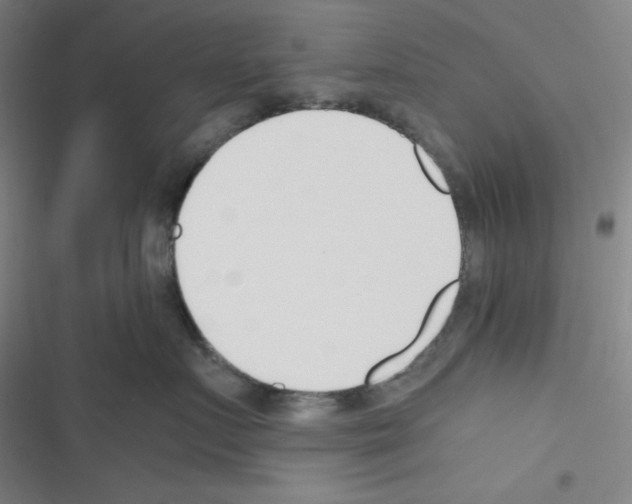 X0000116330719201001131024