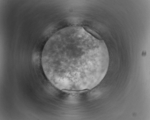 X0000116330720201001131024