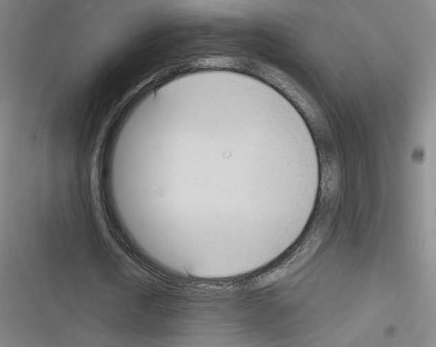 X0000116330722201001131024