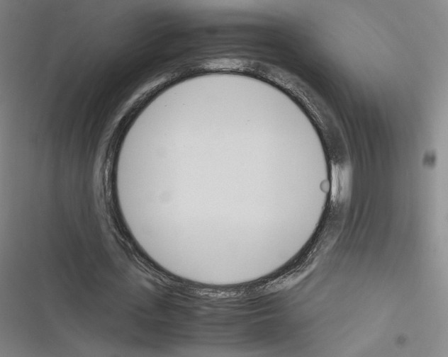 X0000116330723201001131024
