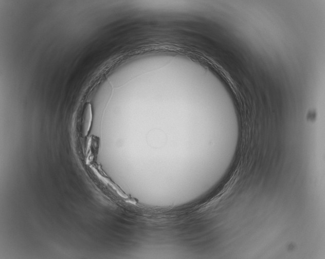 X0000116330725201001131024