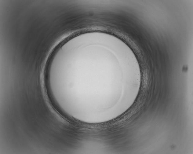 X0000116330726201001131024