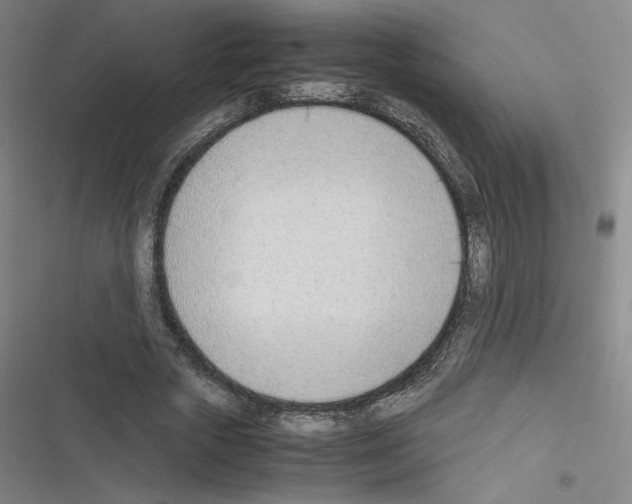 X0000116330729201001131024