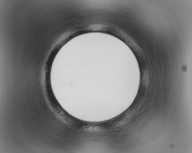 X0000116330730201001131024