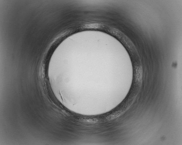 X0000116330731201001131024