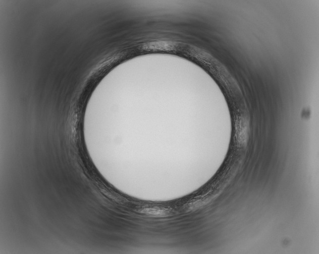 X0000116330735201001131024