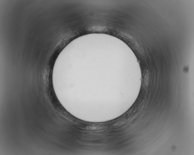 X0000116330739201001131024