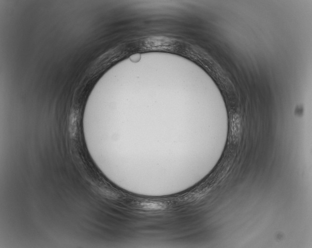 X0000116330741201001131024