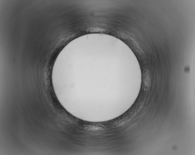 X0000116330743201001131024