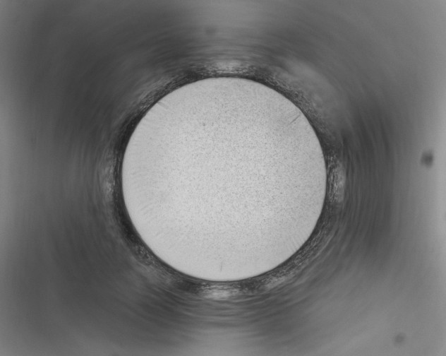 X0000116330746201001131024