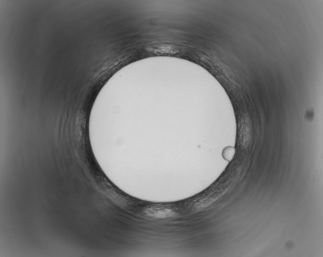 X0000116330747201001131024