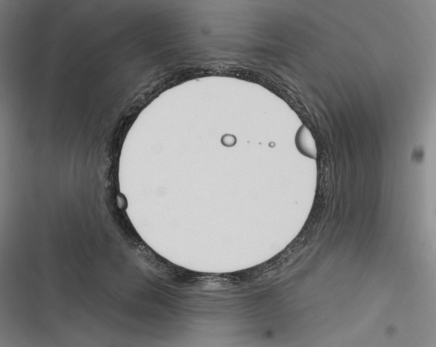 X0000116330750201001131024