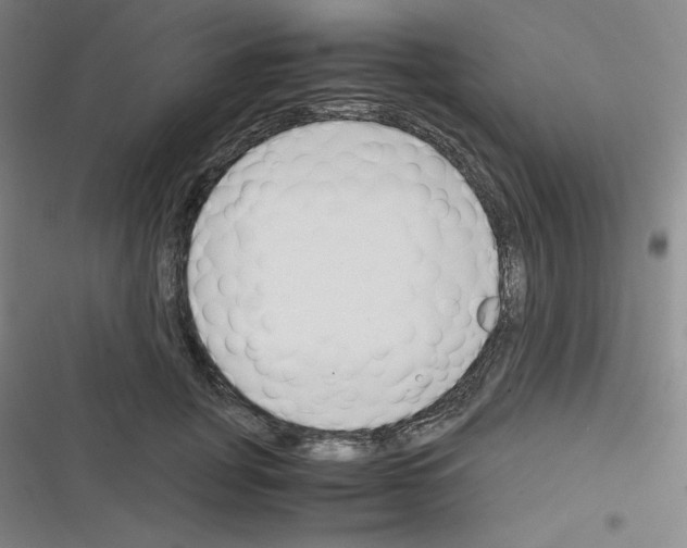X0000116330751201001131024