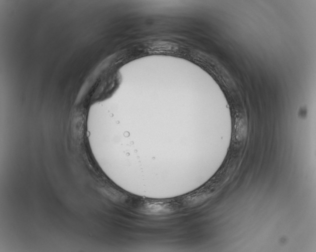 X0000116330753201001131024
