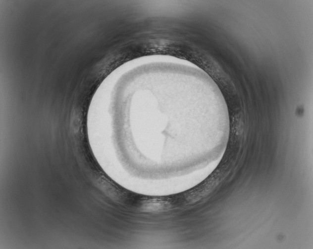 X0000116330754201001131024