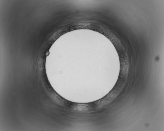 X0000116330758201001131024
