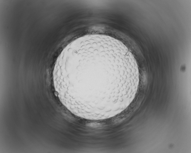 X0000116330759201001131024