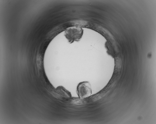 X0000116330761201001131024