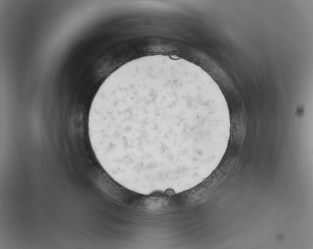 X0000116330762201001131024